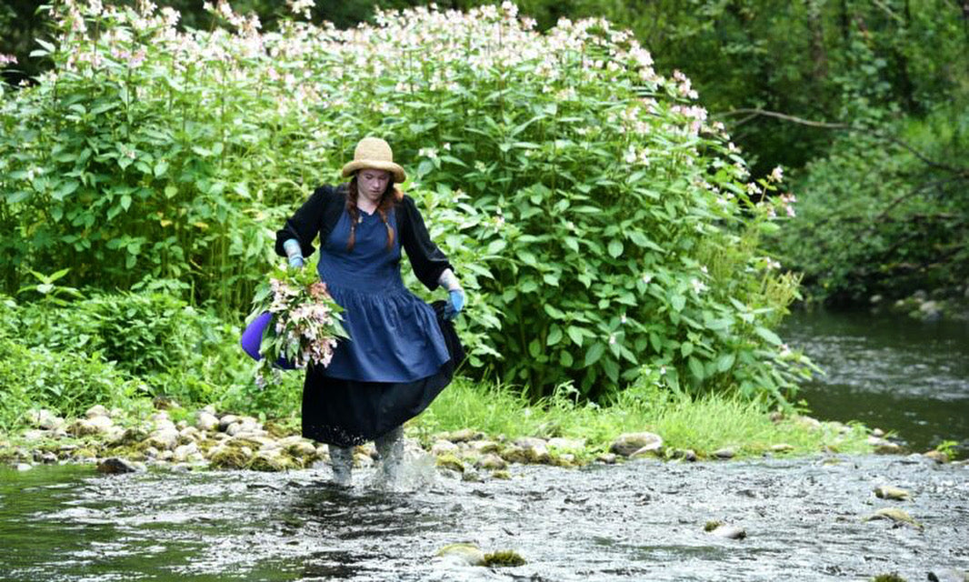 Past Work: Himalayan Balsam and Place-Based Colour