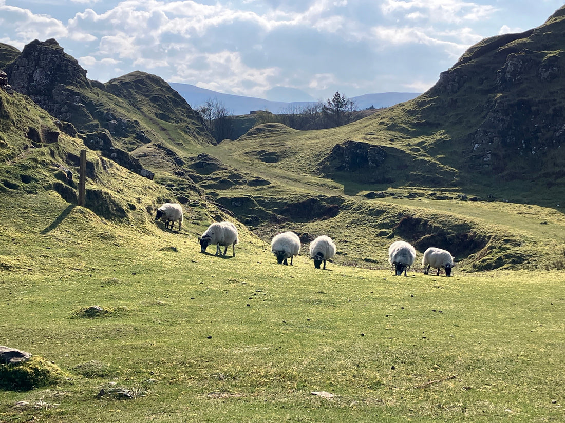 From Mill to Material